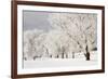 Frost-bcoulter-Framed Photographic Print