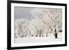 Frost-bcoulter-Framed Photographic Print