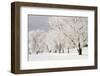 Frost-bcoulter-Framed Photographic Print