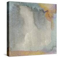 Frosted Glass II-Alicia Ludwig-Stretched Canvas