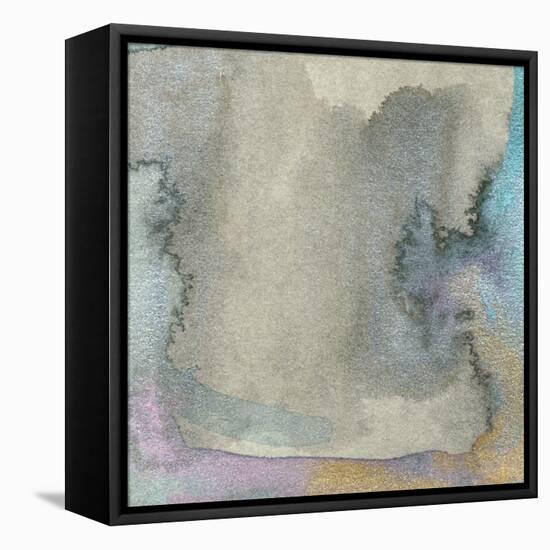 Frosted Glass III-Alicia Ludwig-Framed Stretched Canvas
