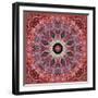 Frosted Leafes in the Forest Mandala Red Toned-Alaya Gadeh-Framed Photographic Print