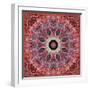 Frosted Leafes in the Forest Mandala Red Toned-Alaya Gadeh-Framed Photographic Print