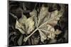 Frosted Leaves-David Lorenz Winston-Mounted Art Print