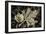 Frosted Leaves-David Lorenz Winston-Framed Art Print