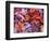 Frosted Maple leaves, Spokane County, Washington, USA-Charles Gurche-Framed Photographic Print