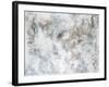 Frosted Summer-Jason Jarava-Framed Giclee Print