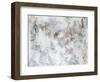 Frosted Summer-Jason Jarava-Framed Giclee Print