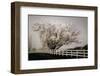 Frosted Tree and Fence-David Winston-Framed Giclee Print