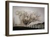 Frosted Tree and Fence-David Winston-Framed Giclee Print