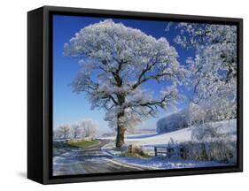 Frosted Tree at Roadside and Rural Winter Scene, Lincolnshire, England, United Kingdom, Europe-null-Framed Stretched Canvas