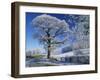 Frosted Tree at Roadside and Rural Winter Scene, Lincolnshire, England, United Kingdom, Europe-null-Framed Photographic Print