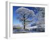 Frosted Tree at Roadside and Rural Winter Scene, Lincolnshire, England, United Kingdom, Europe-null-Framed Photographic Print