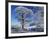 Frosted Tree at Roadside and Rural Winter Scene, Lincolnshire, England, United Kingdom, Europe-null-Framed Photographic Print