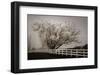 Frosted Tree & Fence-David Lorenz Winston-Framed Art Print