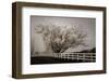 Frosted Tree & Fence-David Lorenz Winston-Framed Art Print