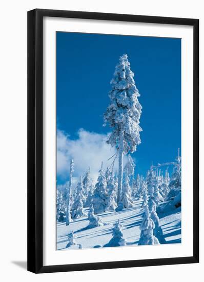Frosted Winter Wonderland-null-Framed Art Print