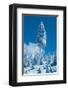 Frosted Winter Wonderland-null-Framed Art Print