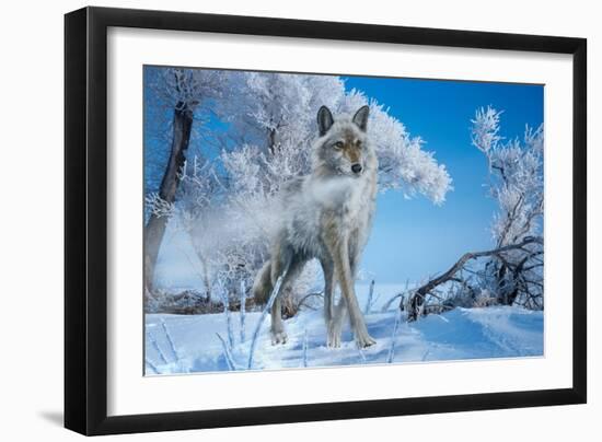 Frosted-Gordon Semmens-Framed Giclee Print