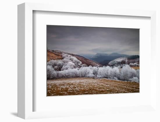 Frosty Breath-null-Framed Art Print