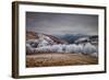 Frosty Breath-null-Framed Art Print