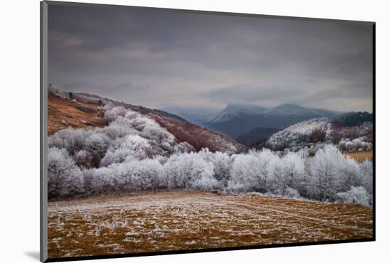 Frosty Breath-Peter Svoboda-Mounted Photographic Print