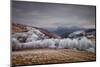 Frosty Breath-Peter Svoboda-Mounted Photographic Print