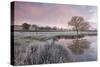 Frosty Conditions at Dawn Beside a Pond in the Countryside, Morchard Road, Devon, England. Winter-Adam Burton-Stretched Canvas