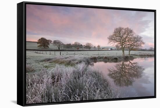 Frosty Conditions at Dawn Beside a Pond in the Countryside, Morchard Road, Devon, England. Winter-Adam Burton-Framed Stretched Canvas
