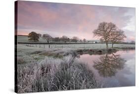 Frosty Conditions at Dawn Beside a Pond in the Countryside, Morchard Road, Devon, England. Winter-Adam Burton-Stretched Canvas
