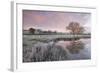 Frosty Conditions at Dawn Beside a Pond in the Countryside, Morchard Road, Devon, England. Winter-Adam Burton-Framed Photographic Print