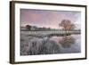 Frosty Conditions at Dawn Beside a Pond in the Countryside, Morchard Road, Devon, England. Winter-Adam Burton-Framed Photographic Print