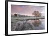 Frosty Conditions at Dawn Beside a Pond in the Countryside, Morchard Road, Devon, England. Winter-Adam Burton-Framed Photographic Print