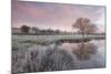 Frosty Conditions at Dawn Beside a Pond in the Countryside, Morchard Road, Devon, England. Winter-Adam Burton-Mounted Photographic Print