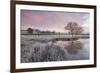 Frosty Conditions at Dawn Beside a Pond in the Countryside, Morchard Road, Devon, England. Winter-Adam Burton-Framed Photographic Print