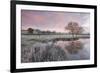 Frosty Conditions at Dawn Beside a Pond in the Countryside, Morchard Road, Devon, England. Winter-Adam Burton-Framed Photographic Print