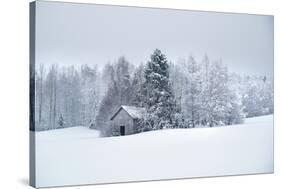 Frosty Escape-Andreas Stridsberg-Stretched Canvas