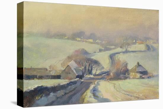 Frosty Fields, Aston, 1991-Trevor Chamberlain-Stretched Canvas