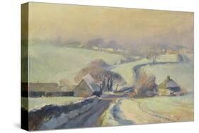 Frosty Fields, Aston, 1991-Trevor Chamberlain-Stretched Canvas