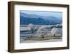 Frosty landscape, Powys, Wales, United Kingdom, Europe-Graham Lawrence-Framed Photographic Print