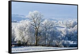 Frosty landscape, Powys, Wales, United Kingdom, Europe-Graham Lawrence-Framed Stretched Canvas
