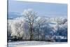 Frosty landscape, Powys, Wales, United Kingdom, Europe-Graham Lawrence-Stretched Canvas