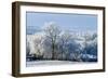 Frosty landscape, Powys, Wales, United Kingdom, Europe-Graham Lawrence-Framed Photographic Print