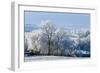 Frosty landscape, Powys, Wales, United Kingdom, Europe-Graham Lawrence-Framed Photographic Print