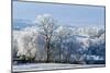 Frosty landscape, Powys, Wales, United Kingdom, Europe-Graham Lawrence-Mounted Photographic Print