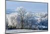 Frosty landscape, Powys, Wales, United Kingdom, Europe-Graham Lawrence-Mounted Photographic Print