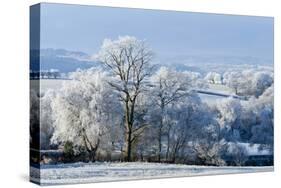 Frosty landscape, Powys, Wales, United Kingdom, Europe-Graham Lawrence-Stretched Canvas