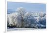 Frosty landscape, Powys, Wales, United Kingdom, Europe-Graham Lawrence-Framed Photographic Print