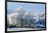 Frosty landscape, Powys, Wales, United Kingdom, Europe-Graham Lawrence-Framed Photographic Print