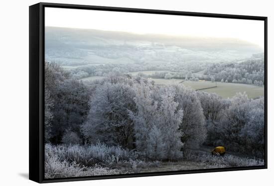 Frosty landscape, Powys, Wales, United Kingdom, Europe-Graham Lawrence-Framed Stretched Canvas